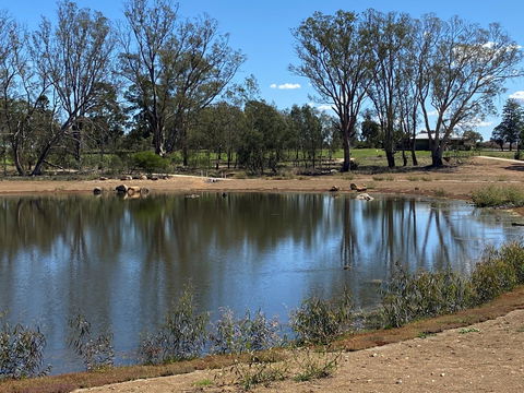 Lake King Wetlands At Rutherglen - Geraldton Accommodation 0