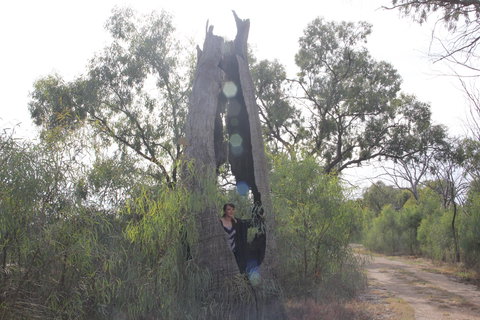 Martin Bend Wetland And Walking Trail - Geraldton Accommodation 1