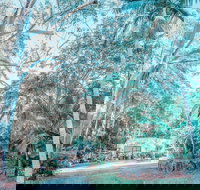 Phillips Gallery - Geraldton Accommodation