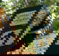 Sunshine Coast Hinterland Great Walk - Geraldton Accommodation