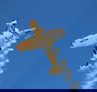 Warbird Aerial Adventures - Geraldton Accommodation