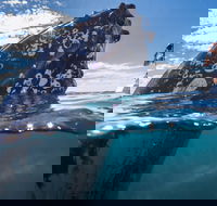 Whale Watching - Geraldton Accommodation