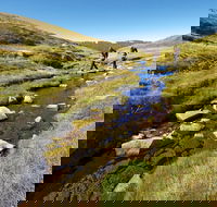 Australian Alps Walking Track - Geraldton Accommodation