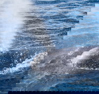 Bremer Bay Canyon - Geraldton Accommodation