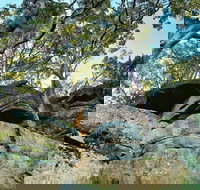 Burrawang Reach Picnic Area - Geraldton Accommodation