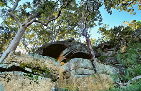 Burrawang Reach Picnic Area - Geraldton Accommodation 0
