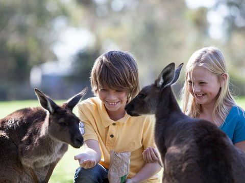 Cleland Wildlife Park - Geraldton Accommodation 1