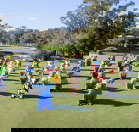 Hello Koalas Sculpture Trail - Geraldton Accommodation