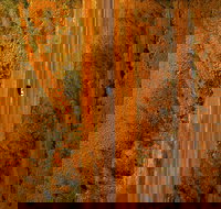 Newcastle Waters - Geraldton Accommodation