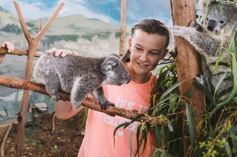 Oakvale Wildlife Park - Geraldton Accommodation 0