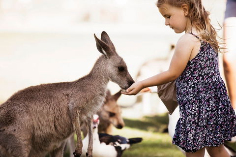 Oakvale Wildlife Park - Geraldton Accommodation 1