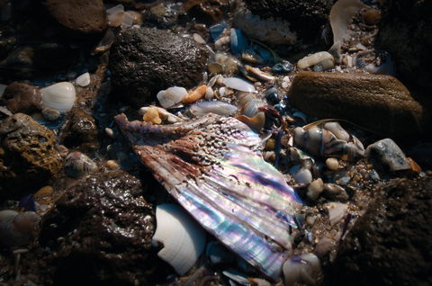 Point Cook Marine Sanctuary - Geraldton Accommodation 1