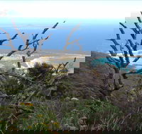 Strzelecki Peaks Great Short Walk - Geraldton Accommodation