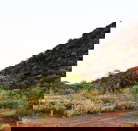 Whyalla Conservation Park - Geraldton Accommodation