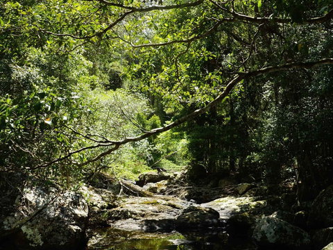 Witta - Geraldton Accommodation 0