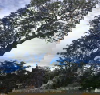 Bilston's Tree - Geraldton Accommodation