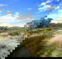 Bullocks walking track - Geraldton Accommodation