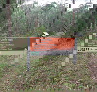 Carter's Mill Picnic and Camping Area - Geraldton Accommodation