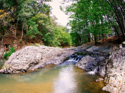 Currumbin Rock Pools - Geraldton Accommodation 0