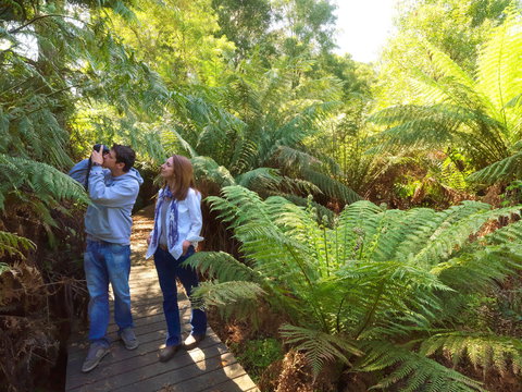 Endeavour Fern Gully Walks - Geraldton Accommodation 0