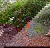 Gibraltar-Washpool World Heritage Walk - Geraldton Accommodation