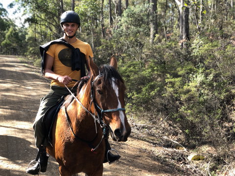 Horse Riding Tasmania - Geraldton Accommodation 2