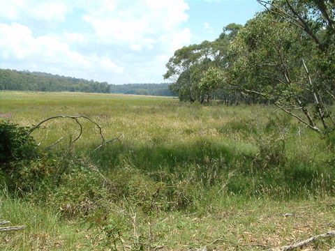 Hume And Hovell Walking Track - Geraldton Accommodation 2