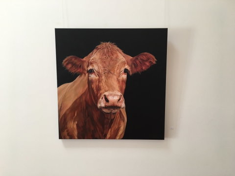 Ivy Hill Gallery - Geraldton Accommodation 2