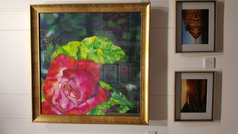 Macleay Valley Community Art Gallery - Geraldton Accommodation 0