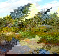 Mansfield Mullum Wetlands - Geraldton Accommodation