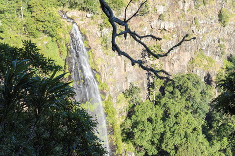 Morans Falls Track, Lamington National Park - Geraldton Accommodation 0