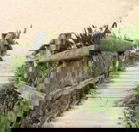 Pebbly Beach to Snake Bay walking track - Geraldton Accommodation