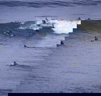 Point Addis Marine National Park - Geraldton Accommodation