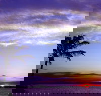 Quoin Island Retreat and Turtle Rehabilitation Centre - Geraldton Accommodation