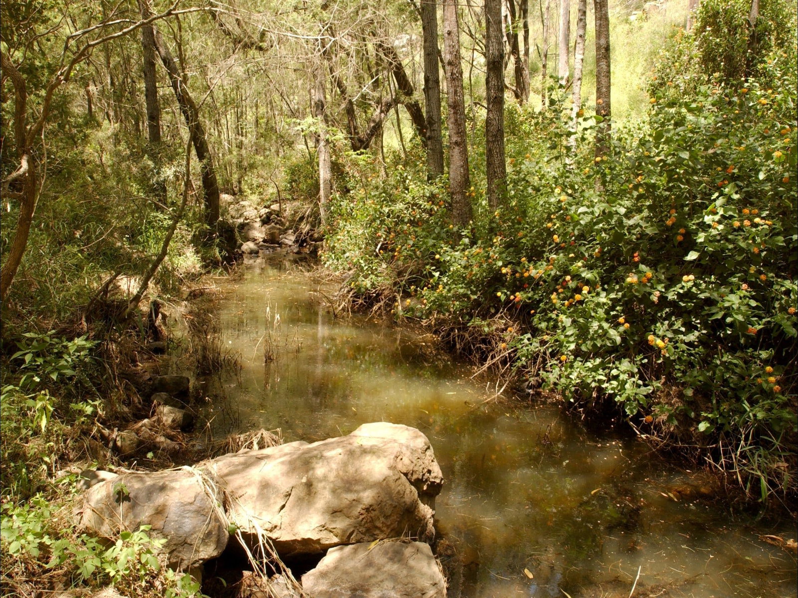 Geraldton Accommodation