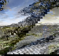 Snow Gums boardwalk - Geraldton Accommodation