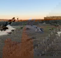 The Llama Farm - Geraldton Accommodation