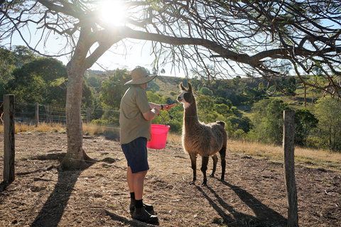 The Llama Farm - Geraldton Accommodation 2