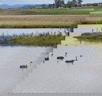Beardy Waters Dam and Woodlands