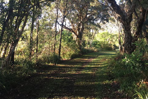 Coffs Harbour To Sawtell Bike Ride - Geraldton Accommodation 7