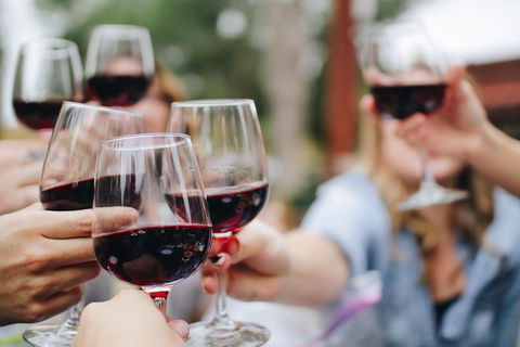 Six Hour - Plan Your Own Wine And Cheese Tour Hunter Valley - Geraldton Accommodation 8