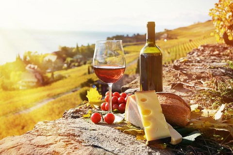 Six Hour - Plan Your Own Wine And Cheese Tour Hunter Valley - Geraldton Accommodation 0