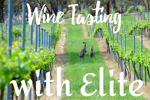 Six Hour - Plan Your Own Wine And Cheese Tour Hunter Valley - Geraldton Accommodation 7