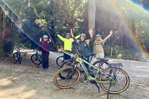Guided E Bike Tour - Unicorn Falls & National Park - Geraldton Accommodation 3