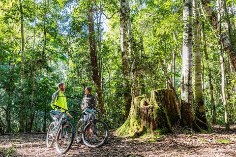 Guided E Bike Tour - Unicorn Falls & National Park - Geraldton Accommodation 14