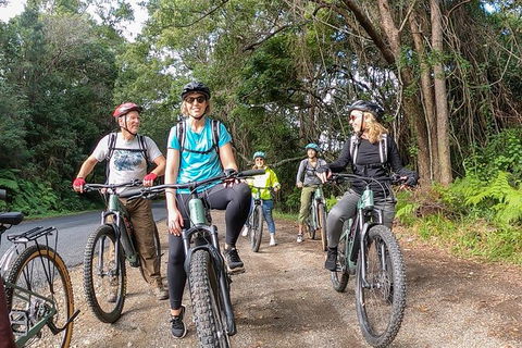 Guided E Bike Tour - Unicorn Falls & National Park - Geraldton Accommodation 11