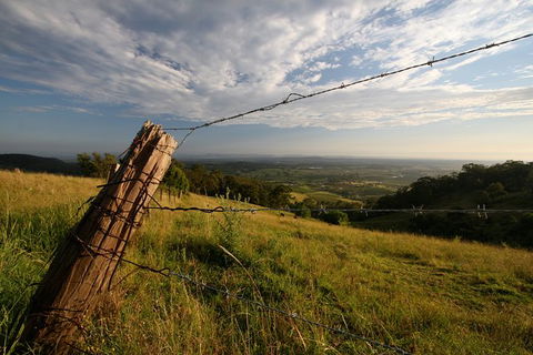 Private Full-Day Wine Tour In Hunter Valley - Geraldton Accommodation 3