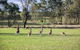 Private Full-Day Wine Tour In Hunter Valley - thumb 2