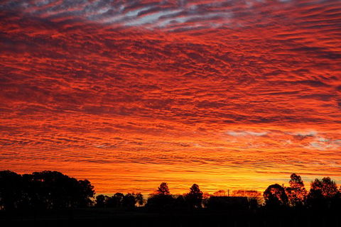 Private Full-Day Wine Tour In Hunter Valley - Geraldton Accommodation 0