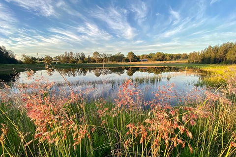 Private Full-Day Wine Tour In Hunter Valley - Geraldton Accommodation 5